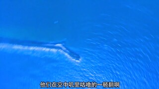 精彩片段《霹雳娇娃》歹徒携带定时炸弹，不料却被一起扔下飞机