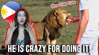 Hand Feeding an African Lion In The Philippines? This Is Crazy!