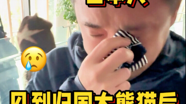 Finally brought my Japanese husband back to China—and met the panda that grew up with him 😢