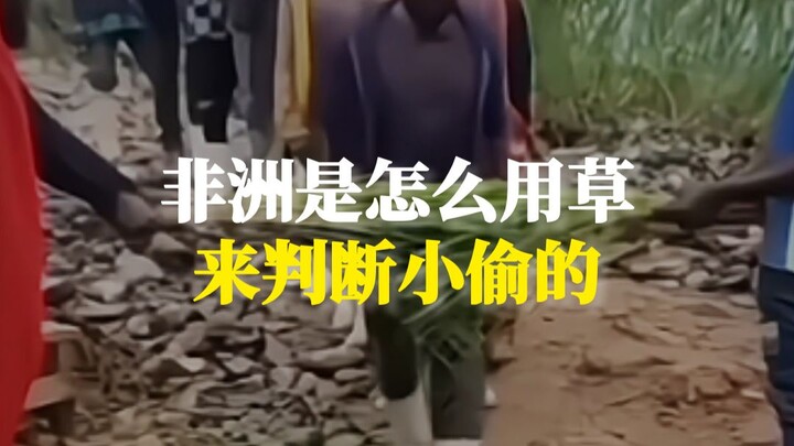 Châu Phi đã dùng cỏ để nhận diện kẻ trộm như thế nào?