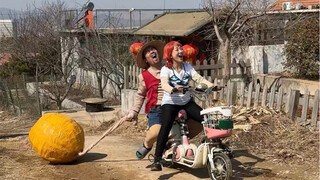 日照娜美来咯