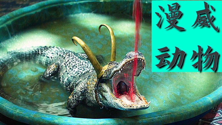 ฉากเด็ดสุดฮาของเหล่าสัตว์สุดป่วนในจักรวาลมาร์เวล! ใครจะรู้ว่ามดก็เลี้ยงเป็นสัตว์เลี้ยงได้ด้วย!