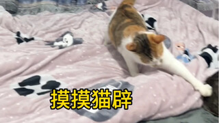 【หยางปู้ไป่】กำลังโหลดวิดีโอ รีบมาเช็คของขวัญด่วน!