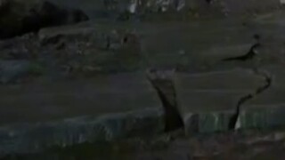 If Qu Hun had continued to follow Han Li, he would probably be able to reach the peak of Daluo in th
