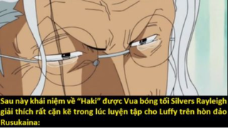 Những thứ không có thật khiến fan thích thú trong thế giới One Piece p2