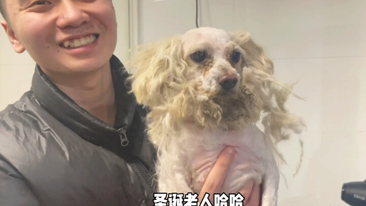 Hari terakhir kerja, cuci “Nian” sampai bau daging asap, mandi sambil joget ala disko!