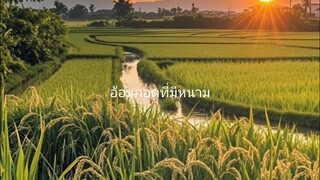 ที่มีหนาม