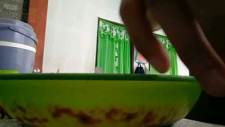 mangga guys