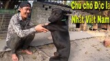 Chú Chó Độc Lạ Nhất Việt Nam Của Săn Bắt Ẩm Thực Vùng Cao| TQN86