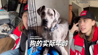 狗的实际年龄计算方式有变化哟