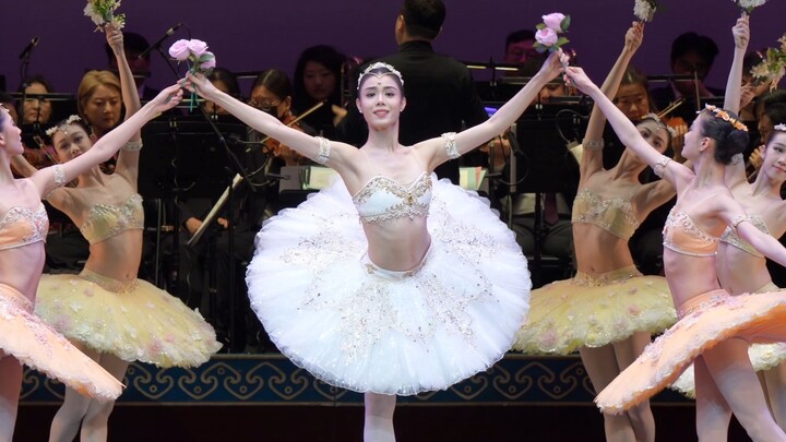 Ninh Long, Lý Tư Y “Bộ Hài” – Vũ đạo trong vườn hoa – “Hòa nhạc Ballet Năm Mới 2026 của Đoàn Ballet 
