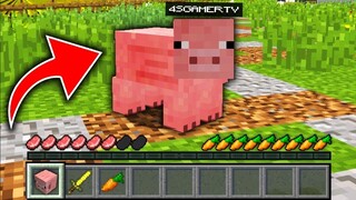 ถ้าเกิด!! ต้องมาใช้ชีวิตเป็น หมู 1 วัน ในมายคราฟ... 🐷 (Minecraft)