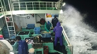tuna longline Japan fishing vessell