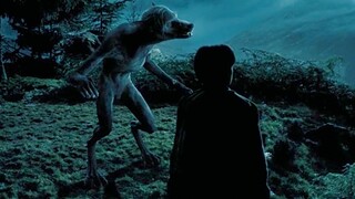 Harry Potter và Bảo bối tử thần: Phần 3: Giám ngục và Người sói xuất hiện, Harry du hành xuyên thời 