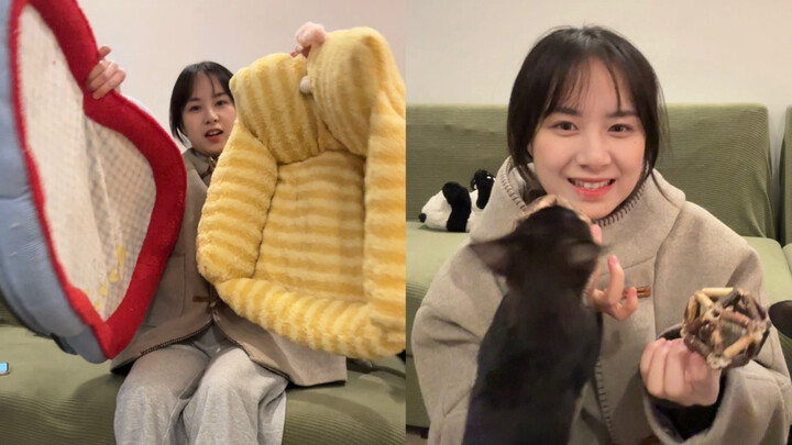 Berbagi Mainan Kucing