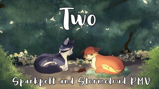 Two - Sparkpelt and Stormcloud PMV