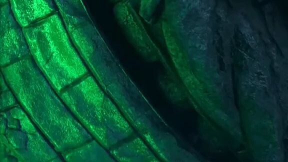 cứu ngộ không gặp ngay cổ thụ 1000 năm