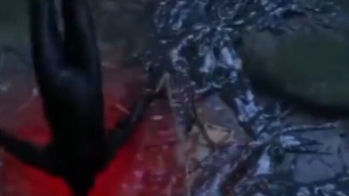 venom terbang