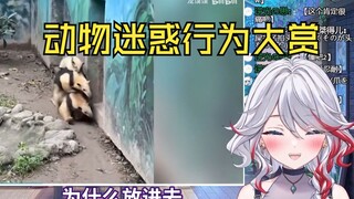 日本天然小姐姐看《动物迷惑行为大赏226》