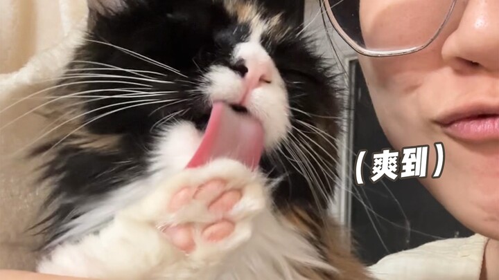 When I insisted on holding the kitten’s paw…