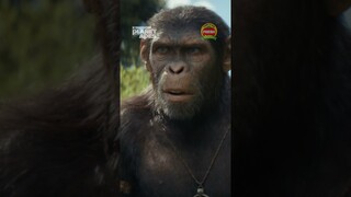 Kingdom of the Planet of the Apes | Reign