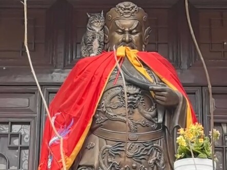 “There’s a Reason Cats Aren’t in the Chinese Zodiac”