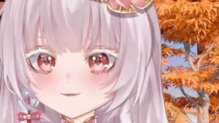 Belahan Bumi Selatan adalah hal yang baik