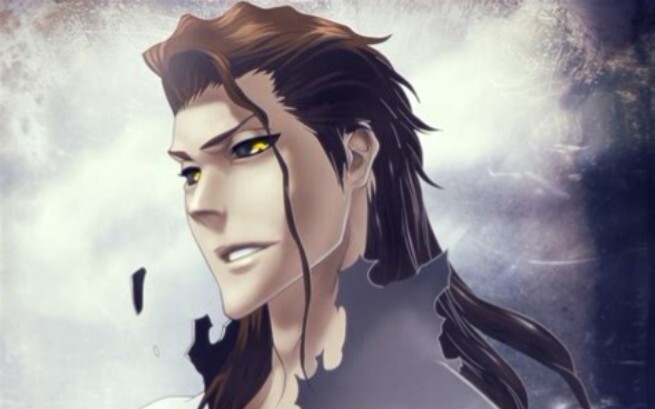 BLEACH: Aizen's most gorgeous and powerful villain