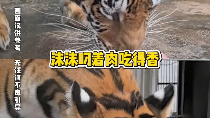 Mạt Mạt: Biết trước như thế thì hà tất phải lúc đầu