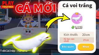 Hé Lộ Cá Voi Trắng Siêu VIP Xuất Hiện, Chi Tiết Bảo Trì Cập Nhật 13 Loại Cá Mới | Play Together