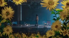 Day 6 "Inside Out" M/V