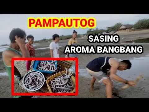 SASING #Sasing #seafoods #fishing