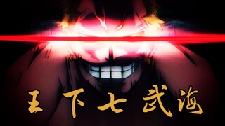 王 下 七 武 海 ！ ！ ！