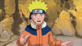 Naruto dan hewan peliharaan kecilnya