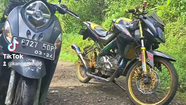 cikadu ni bos senggol dong