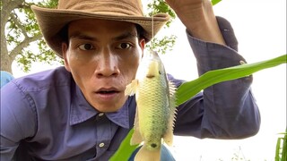 Một ngày làm Vlogs sáng đi câu cá trưa về bắt tổ ong chiều lại ra đồng câu cá rô đồng