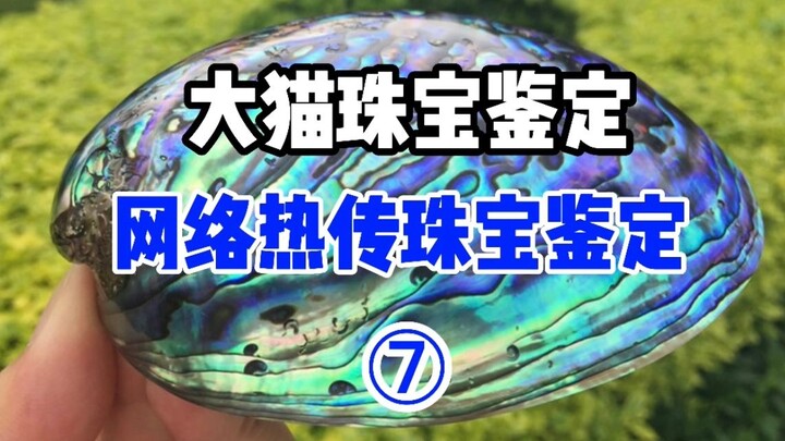 حوّل النفايات إلى كنز! هل يصبح سعر الإسفنج البحري بعد الأكل أعلى؟