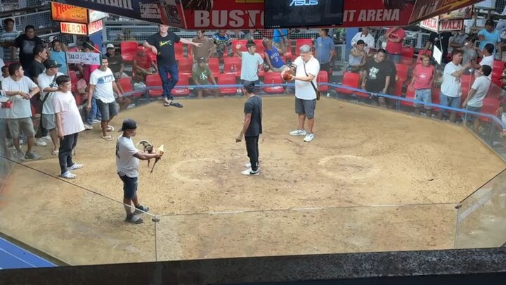 pure tornado hatch win in 5stag big event bustos cockpit