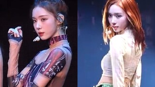 韩国人有自己的五月天