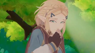 princess zelda funny