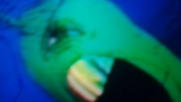 Plantoners open in a doi.