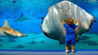 Kids And Animals At The Zoo - Animals Funny Video | Pet Squad