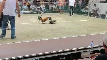 2nd pyt Ang sabaw2 lines