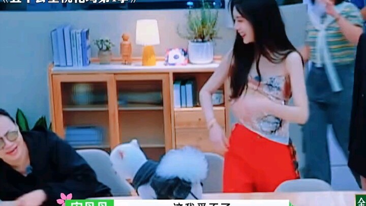 Nhà Mạnh Tử Nghĩa mà đến cả chó cưng cũng có màn trình diễn đỉnh cao thế này, đúng là một nhà toàn s