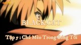 Chú Mèo Trong Bóng Tối ( Short Ep 3 ) #Blackcat