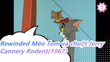 Mèo Tom và chuột Jerry |Chuyện gì xảy ra khi tua ngược lại? Cannery Rodent(1967)_1