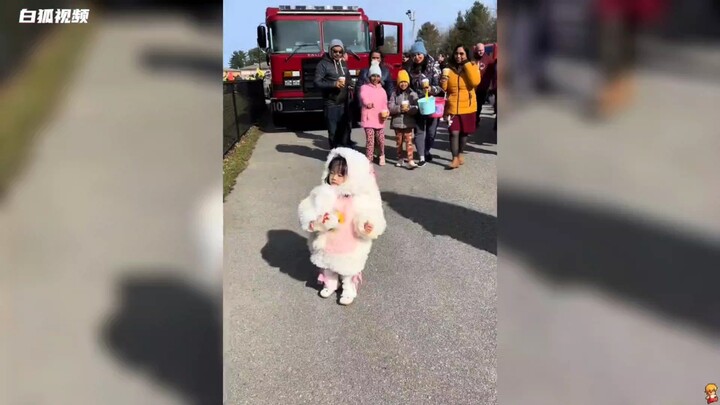 Chinese bunnies are driving Americans wild!