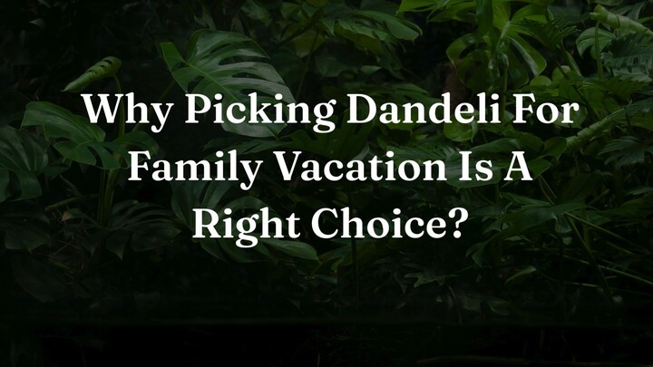 Why Picking Dandeli For Family Vacation Is A Right Choice?