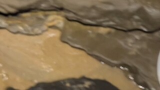 就这么水灵灵吃掉了