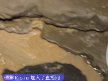 就这么水灵灵吃掉了